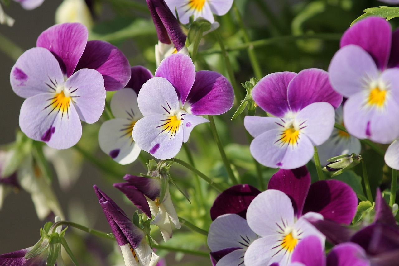 Mixed Flower Bouqu~et