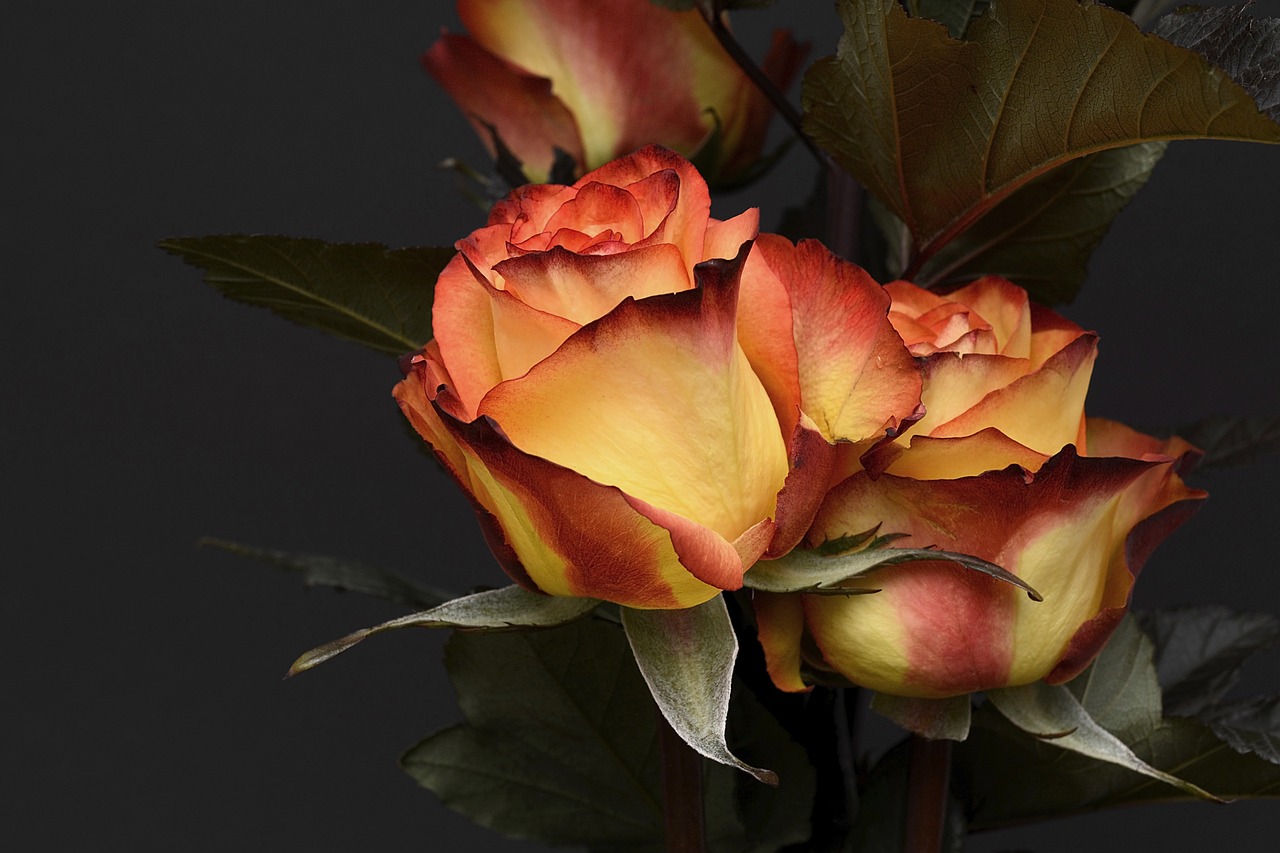 Golden Celebration Arrangement